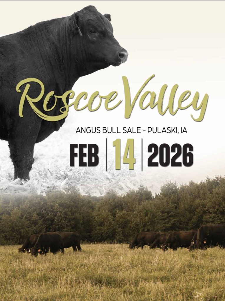 2026 RV Black Angus Bull Sale